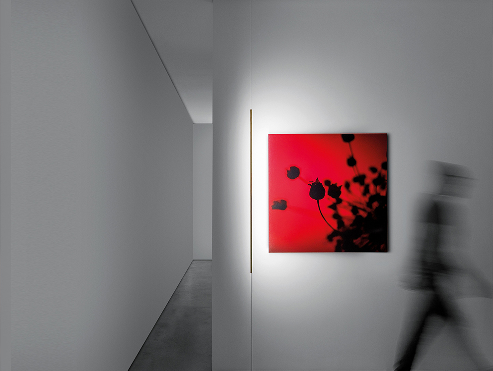 davide-groppi images